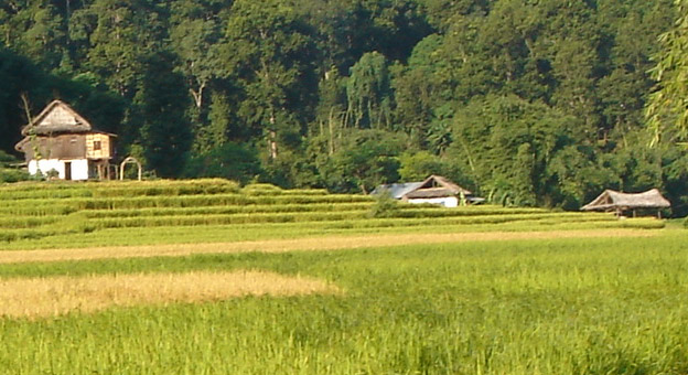 Near by Nepale Danda , Arun valley